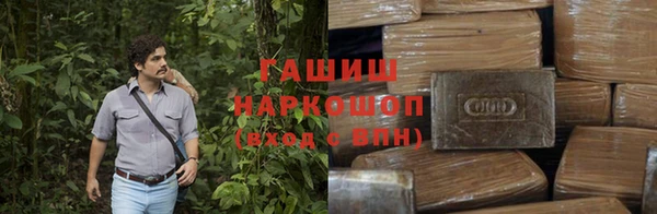 твердый Богданович