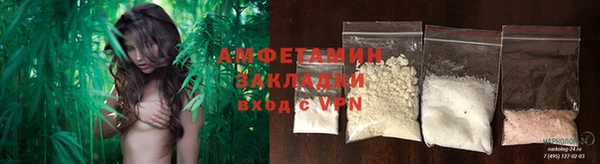 твердый Богданович