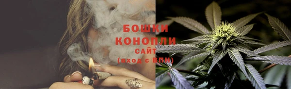 твердый Богданович