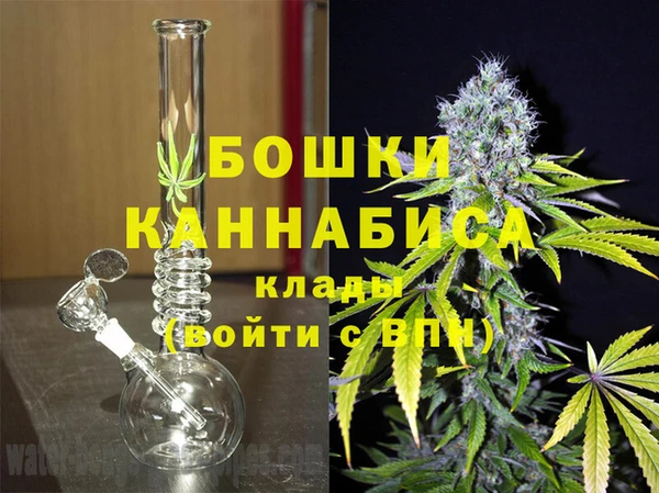 твердый Богданович