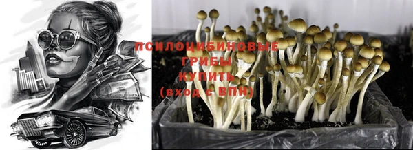 кокаин колумбия Богородицк