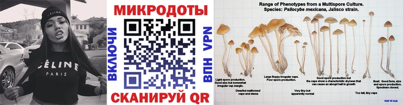 где можно купить Ачхой-Мартан KRAKEN ссылка Псилоцибиновые грибы ЛСД